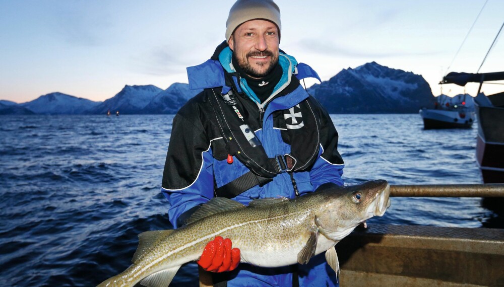 STOLT FISKER: Kronprins Haakon var veldig fornøyd med fangsten på fisketuren i nord. Her med en skrei på 5½ kilo.