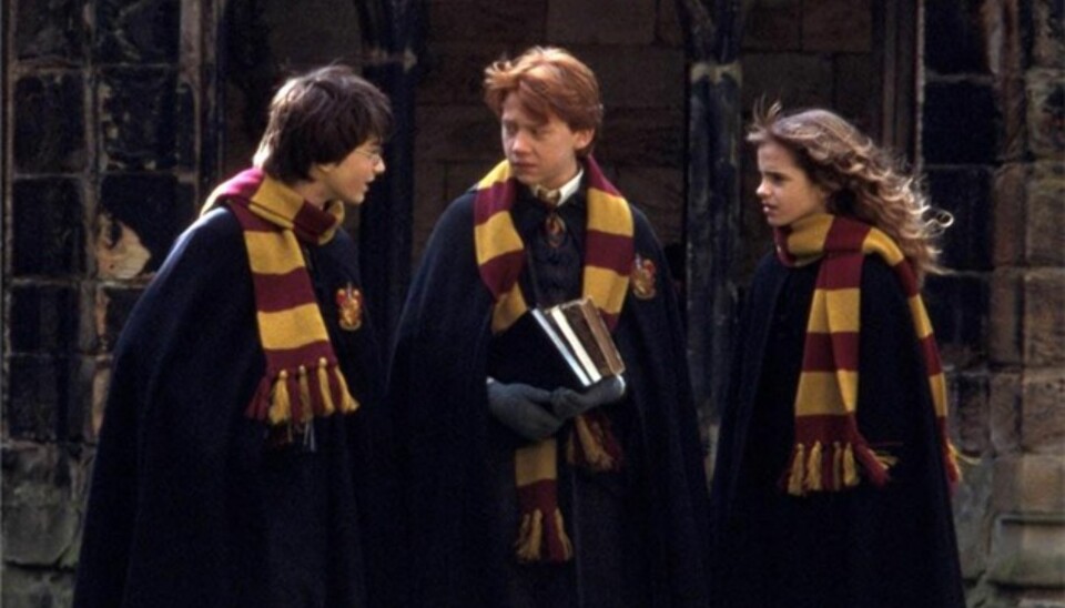 Hvem er du i Harry Potter?