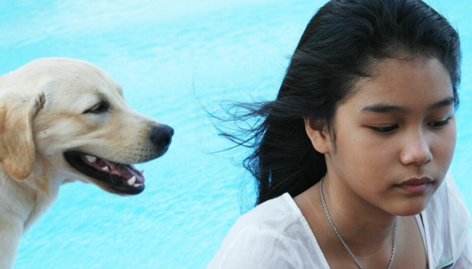 Husk våre dyrevenner i sommer!