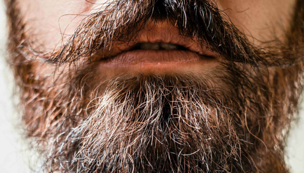 LA DET GRO: Skjegg er mer populært enn noengang, men ikke alle menn veit hvordan de skal ta vare på det. Lær deg hvordan du får skjegget ditt til å se sunt og friskt ut, og hva som skal til for å beholde huden myk under skjegget.