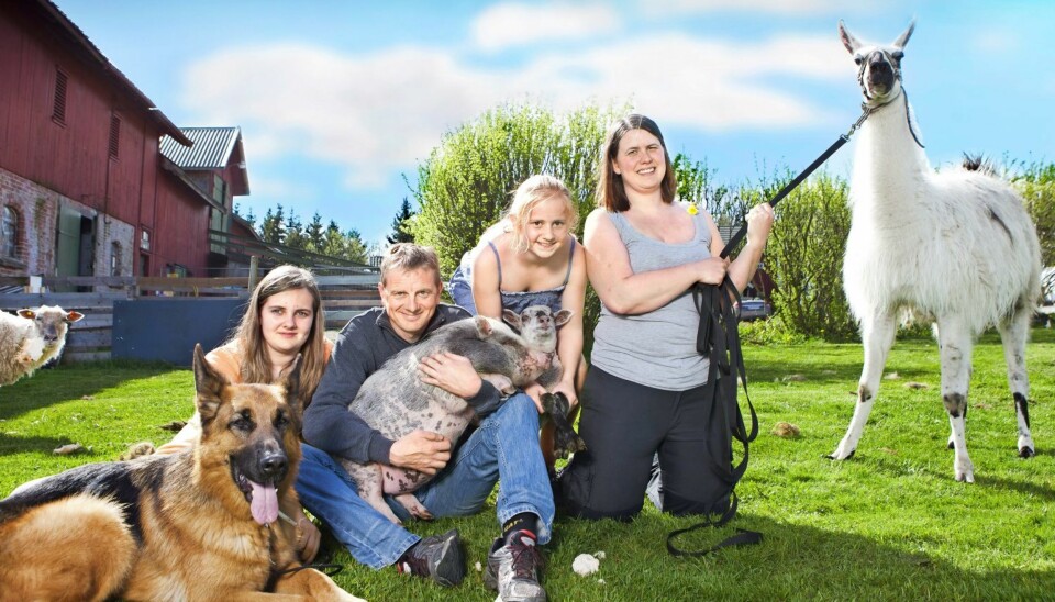 FAMILIESAMLING: Dette er et forsøk på å samle så mange som mulig av folk og dyr på gården. Fra venstre, Putz, Charlotte, Glenn med Molly, Christina med lammet til Trulte og Ida med en litt motvillig Jonas.