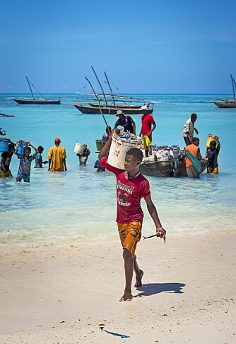 FANGST: Både unge og gamle må være med og losse fisk når fangsten er god, som her på stranden utenfor landsbyen Nungwi nord på Zanzibar.