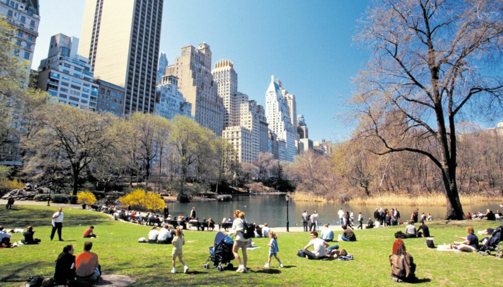 OASE: Central Park er byens lunge og hjerte. Uslåelig!