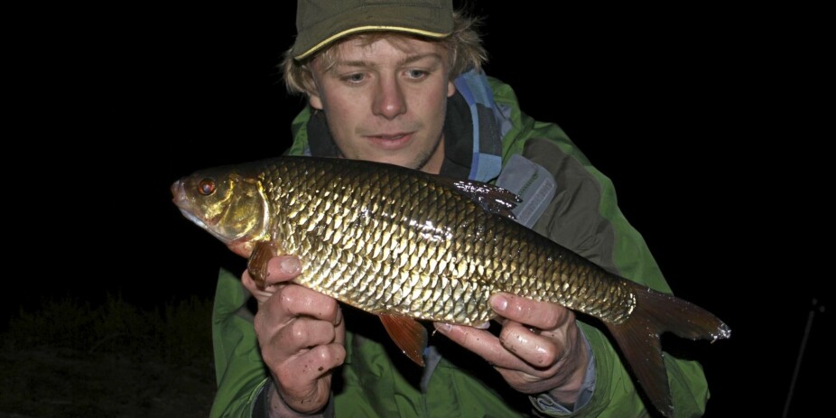 MORT: Andreas Johansen tok denne rekordmorten på 1,16 kg på brød i Haukvannet i Trondheim i 2010.