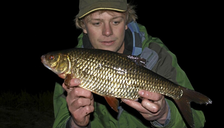 MORT: Andreas Johansen tok denne rekordmorten på 1,16 kg på brød i Haukvannet i Trondheim i 2010.