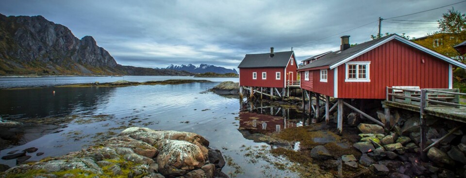 VAKKER NATUR: Opplev vakker natur med strikketøyet fanget.