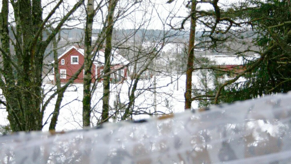 SMÅBRUKET: Gauslaa og kollegene fra Grenseløs fulgte etter tyvene til dette avsides­liggende småbruket utenfor Strömstad. Kamuflasje­nettet som ble brukt på spanings­posten, skimtes i forgrunnen. FOTO: Politiet