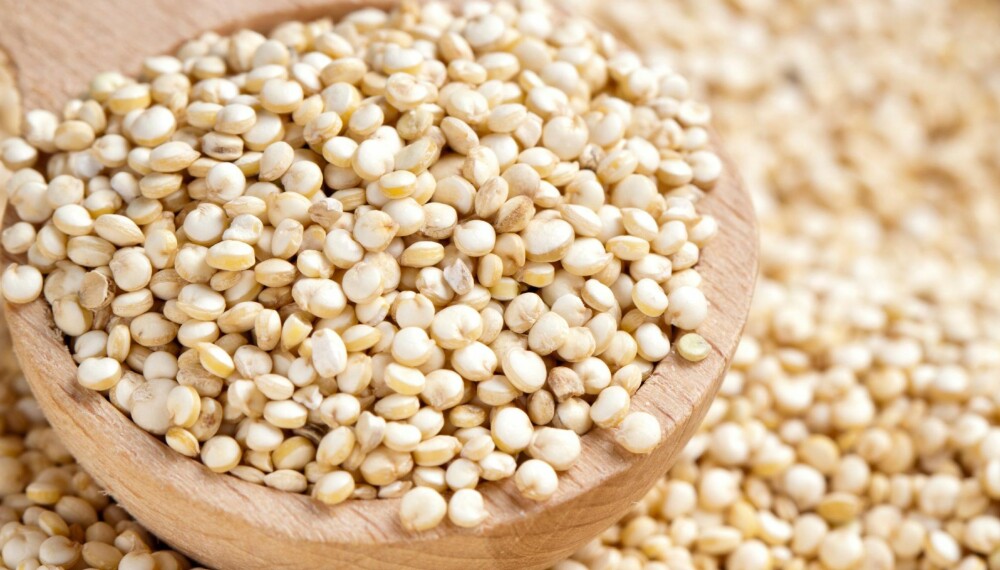 IKKE EN KORNSORT - SOM MANGE TROR: I motsetning til det mange tror, er quinoa et frø og ikke en kornsort. Som andre frø er quinoa full av sunt fett, fiber og antioksidanter.