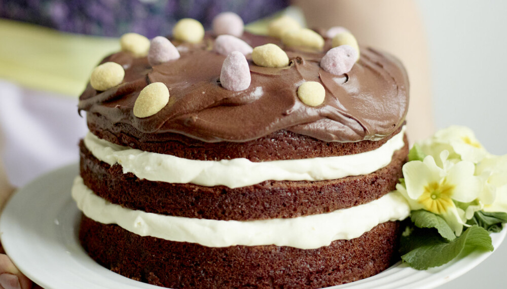 VÅRENS DRØMMEKAKE: Sjokolade og sitron gi en lett og lekker smakskombinasjon i denne lekre kaken.