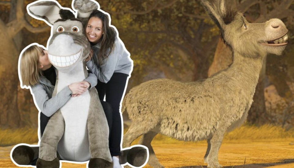 Avsluttet: Er du sta nok til å vinne et esel?