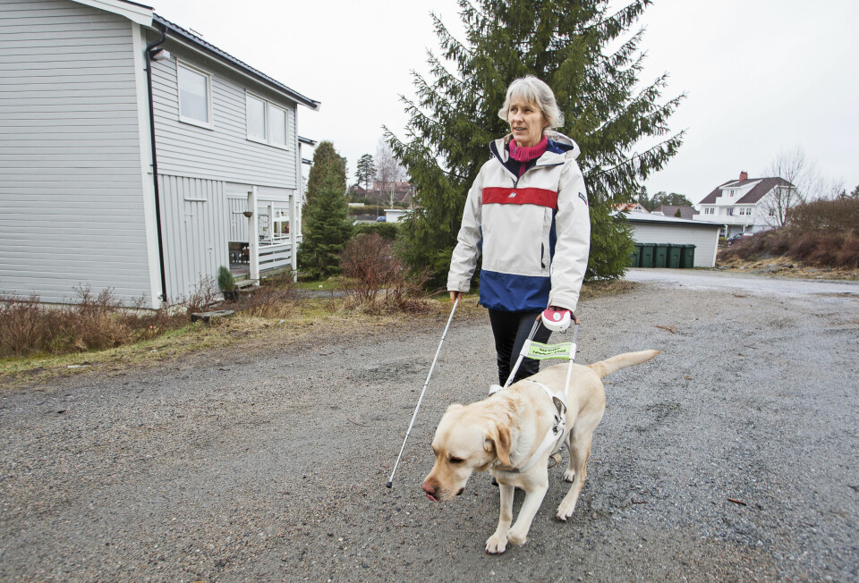 UT PÅ TUR: Berit har vært svært fysisk aktiv i hele sitt liv, blant annet med konkurransesvømming. Da er det godt å komme seg ut på tur med Wagner. – Wagner skal først og fremst være min førerhund, men han er jo blitt en del av familien likevel, sier Berit.