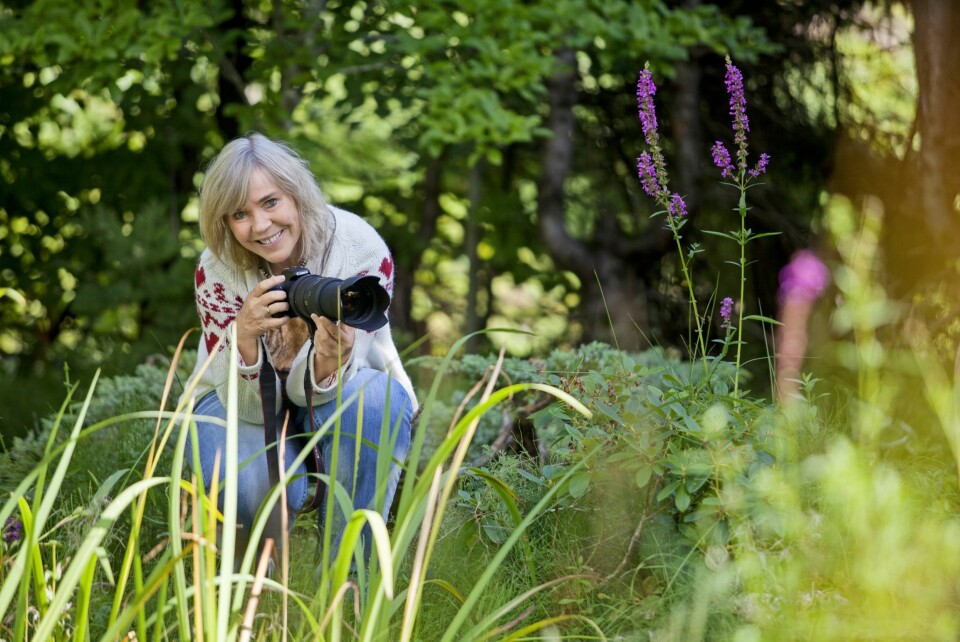 LIDENSKAP: – Å fotografere skogens dyr er det morsomste jeg gjør. At andre også har glede av bildene mine, gjør meg ekstra glad, sier Heidi.