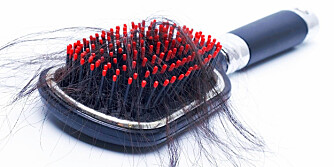 KAN GI FET HODEBUNN: Visste du at den gale hårbørsten faktisk kan gi deg en fet hodebunn?