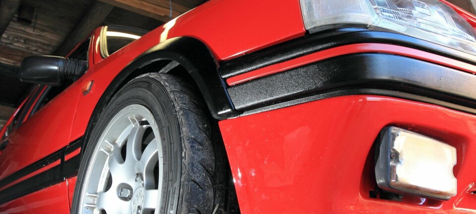 Finner du et bra eksemplar, har du skutt gullfuglen