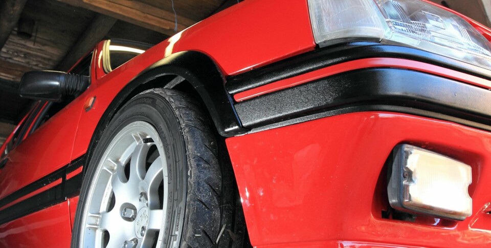 Finner du et bra eksemplar, har du skutt gullfuglen