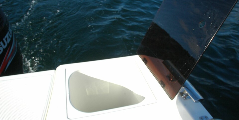 Smartere enn de fleste