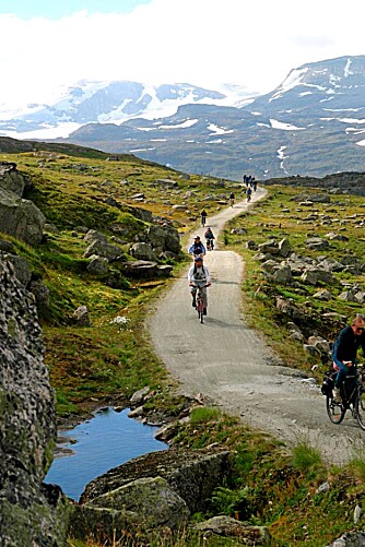 RALLARVEGEN: Det går an å sykle flere ruter, men den mest vanlige er kanskje å sykle de 80 kilometerne fra Haugastøl via Finse, Hallingskeid og Myrdal, og til Flåm.