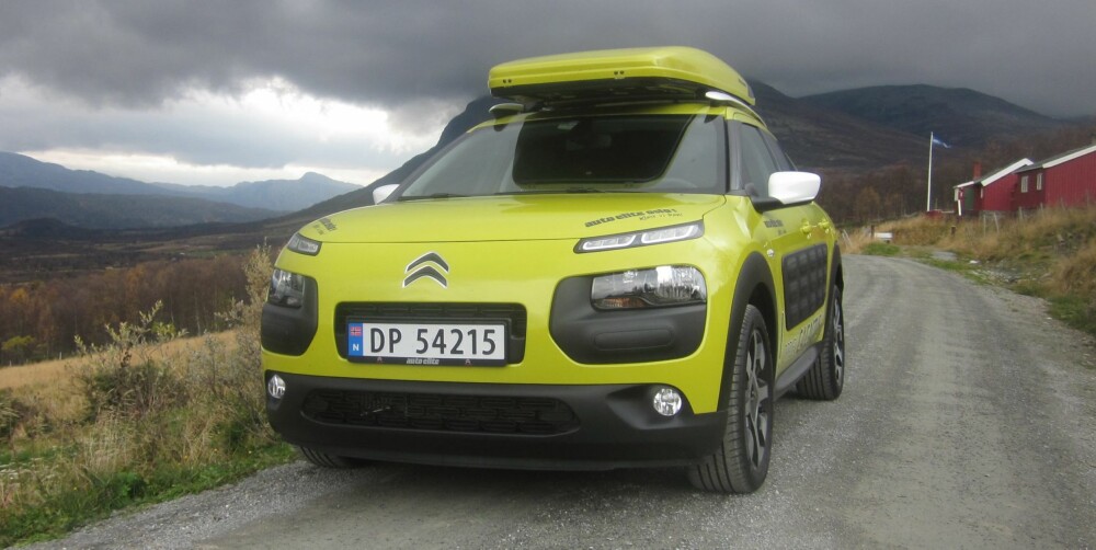 SÆREGENT: Utseendet er spesielt. C4 Cactus minner om en SUV, men er i realiteten knapt nok høyere enn en vanlig kompaktbil. FOTO: Martin Jansen SÆREGENT: Utseendet er spesielt. C4 Cactus minner om en SUV, men er i realiteten knapt nok høyere enn en vanlig kompaktbil. FOTO: Martin Jansen