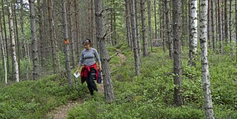 VANDRING POPULÆRT: Glaskogen har mange flotte vandringsleder. VANDRING POPULÆRT: Glaskogen har mange flotte vandringsleder.
