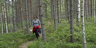 VANDRING POPULÆRT: Glaskogen har mange flotte vandringsleder.