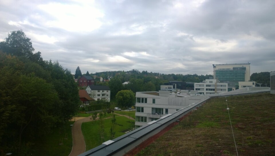 MORGENSTEMNING: Onsdag morgen i Nydalen. Tatt fra taket til Egmont huset.