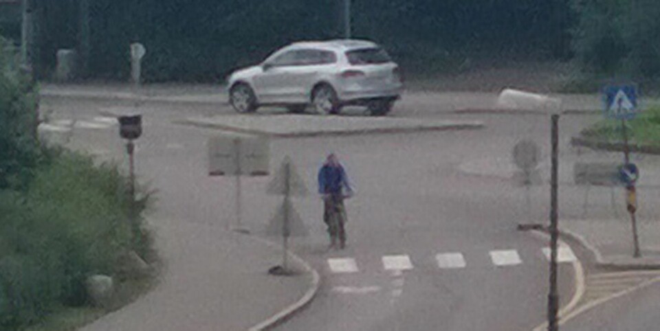 ZOOM INN: Her er utsnittet vi klippet ut fra bildet over.