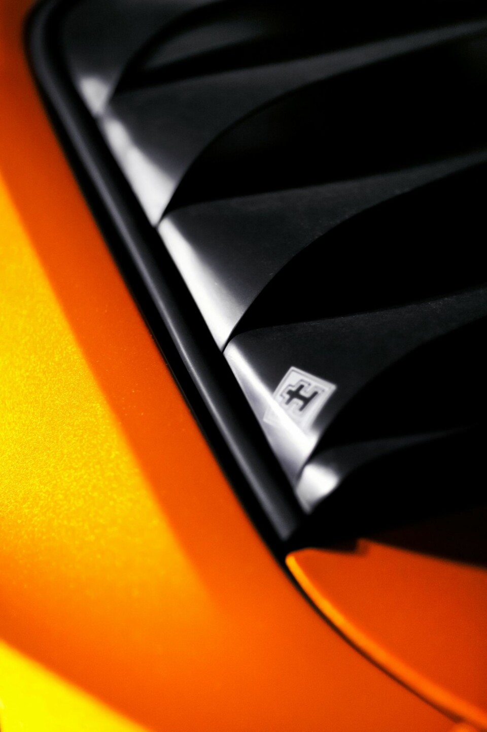 En råners våte drøm