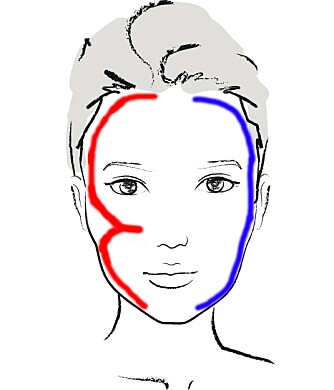 PÅFØRINGSMETODER: Makeupartist Sølvi Strifeldt tipser om at man kan legge solpudder enten som et 3-tall eller en C langs ytterkanten av ansiktet.