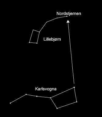 LILLEBJØRN: Nordstjernen ligger i stjernebildet Lillebjørn. En enkel måte å finne den på, er å ta utgangspunkt i Karlsvogna og måle rundt en håndsbredd med spredte fingre og strak arm.