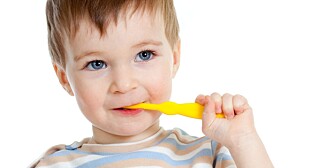 PUSS, PUSS, SÅ FÅR DU EN SUSS: Sunne tenner er viktige for barnets generelle helse. Undersøkelser har vist at så mange som hver tredje treåring har hull eller begynnende hull i tennene.