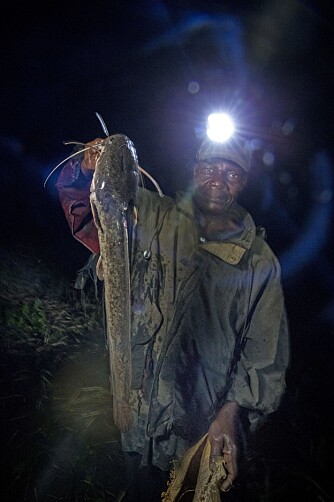 DET GÅR I MALLER: ¿ Det hender jeg drar inn fisk på over en meter, innrømmer han stolt, og viser fram en litt mindre malle under nattens fisketur.