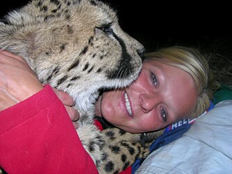 Geparder er kanskje ikke det dyret man helst legger seg til å sove sammen med, men Janicke kom godt overens med dem og følte seg helt trygg.