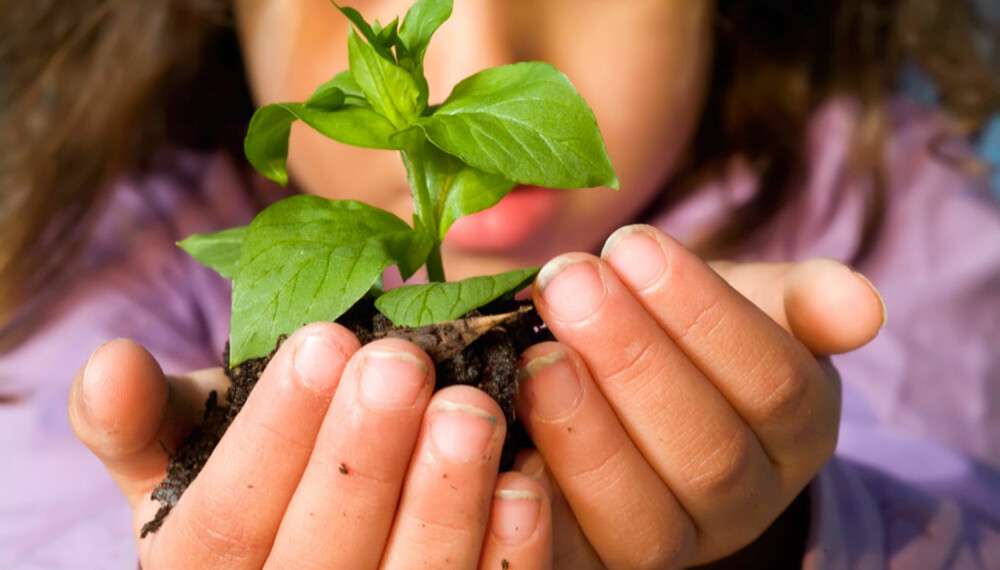ENGASJERT: Det er enklere å få barna interessert i hagearbeid hvis de kan være med å spise opp det de planter!