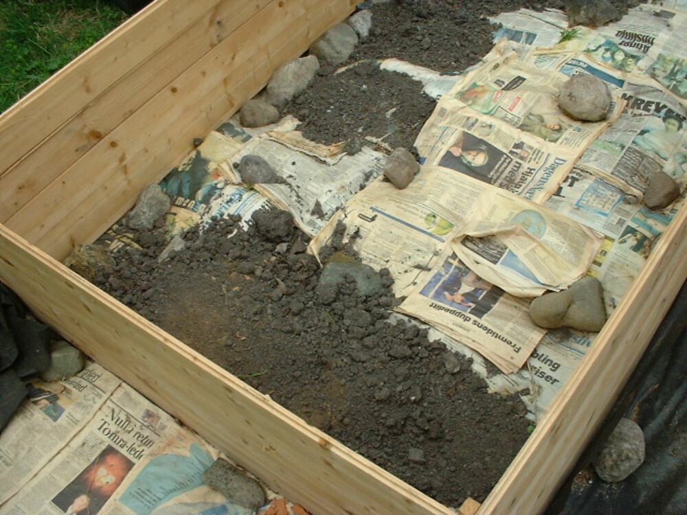 KASSE: Vi brukte resirkulerte materialer (panel fra stua) i en bedkonstruksjon, med et tykt lag aviser i bunnen. Fungerer hvis du ikke har flerårig ugras.