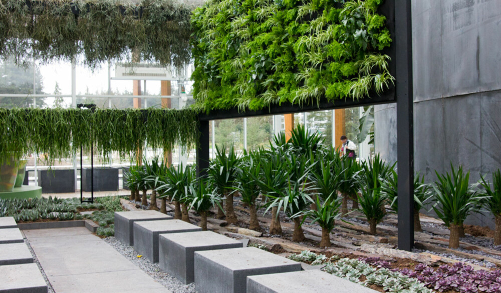 MODERNE: Hengende planter danner vertikale vegger, legg også merke til hvordan det er laget vertikale hager med ulike samplantinger. Kontrast skapes med sink og betong.