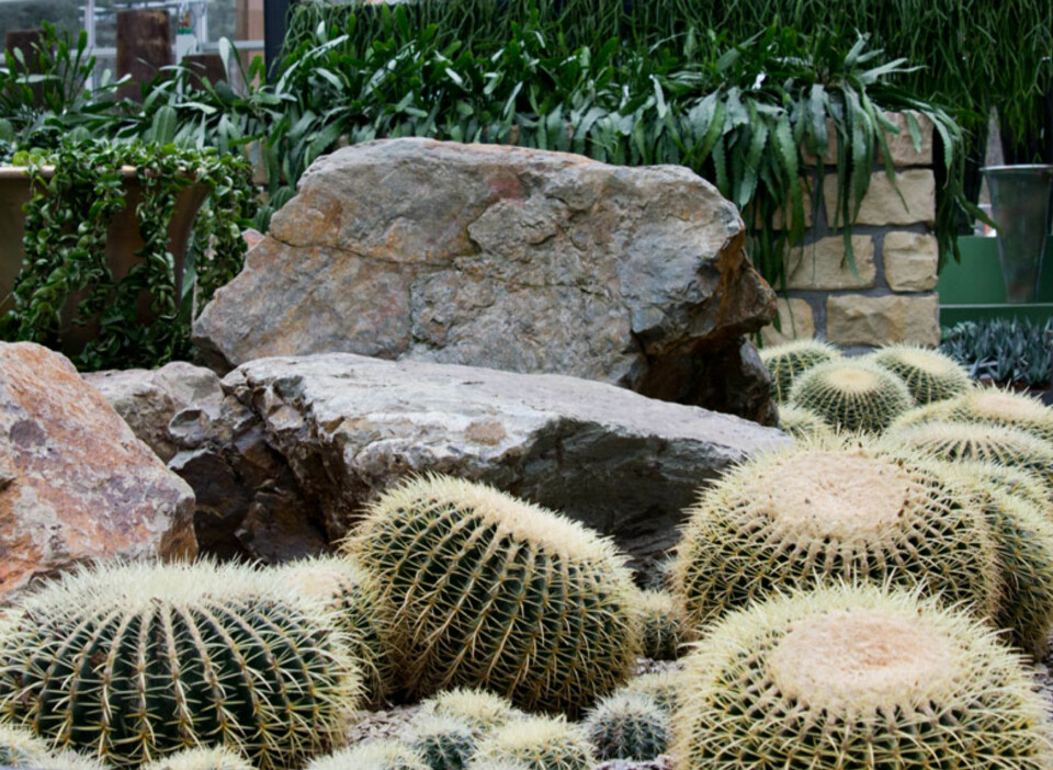 KAKTUS OG STEIN: Den moderne stilen er røff i uttrykket.