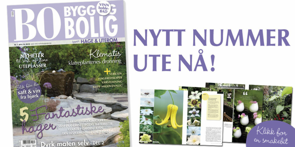 Nytt temablad ute nå! Her er en smakebit.