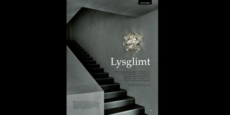 Lysglimt - 19 sider om belysning