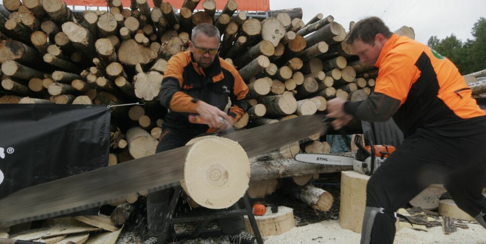 timbersport