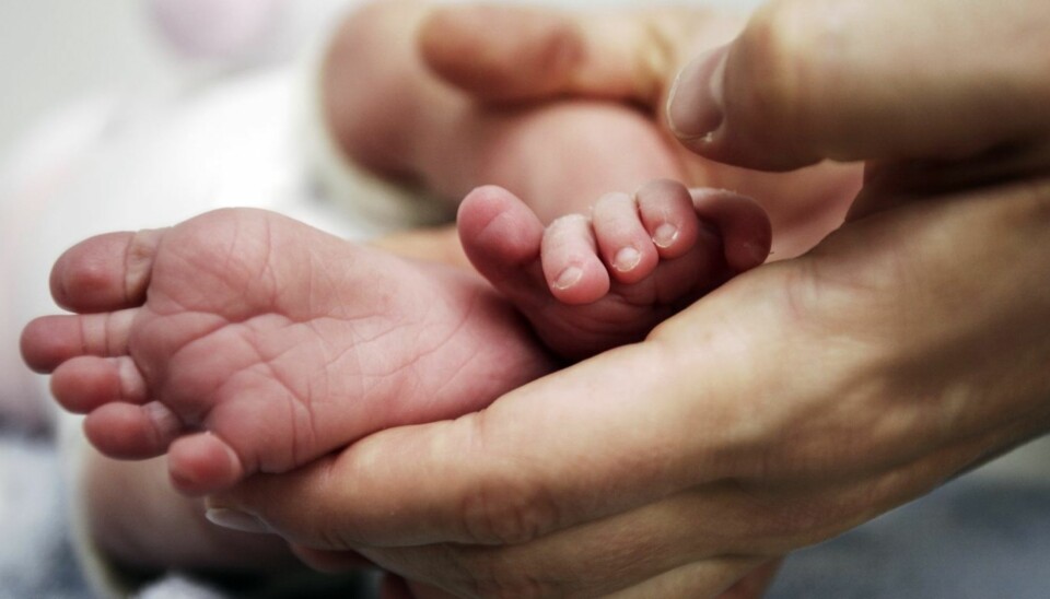 På prematuravdelingene overvåkes de små døgnet rundt av et kyndig og omsorgsfullt personale. Foto: Colourbox.no