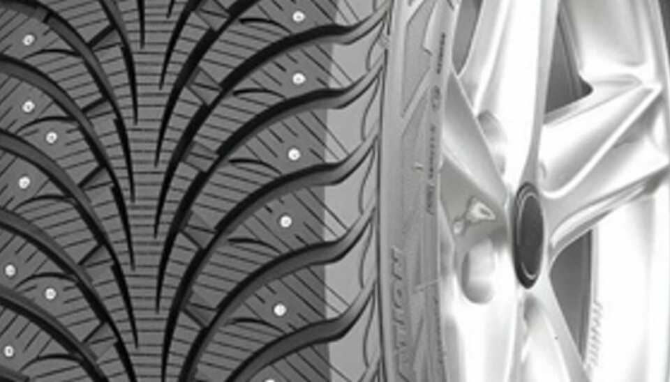 Sava Eskimo Stud - 7,7 poeng