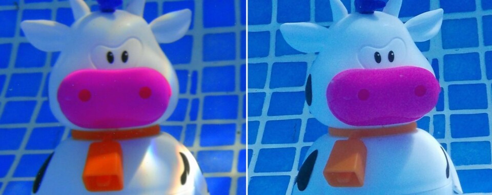 UNDER VANN: Nikon til høyre og Sony til venstre. Vi ser at Nikon har litt mer korn og gir litt blåere bilde, mens bildet fra Sony ser litt loete ut.