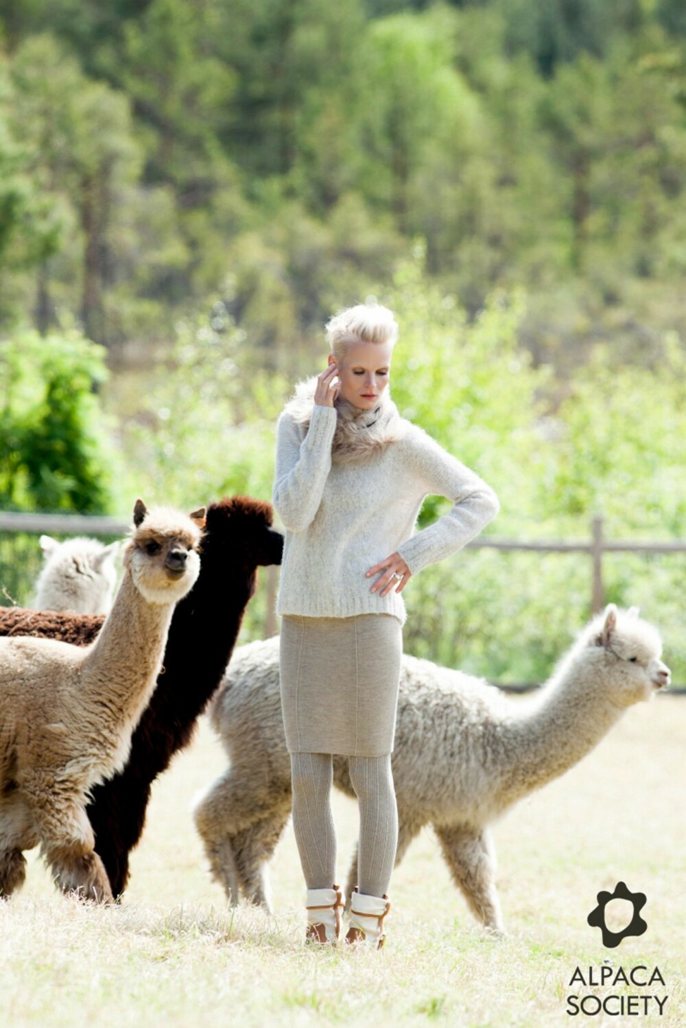 PELS FRA ALPAKKA: Det norske klesmerket Alpaca Society bruker økologisk pels fra alpakka.