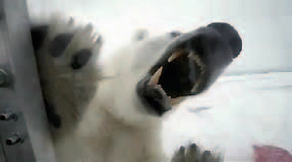 – Det er utvilsomt den farligste situasjonen jeg noensinne har vært i