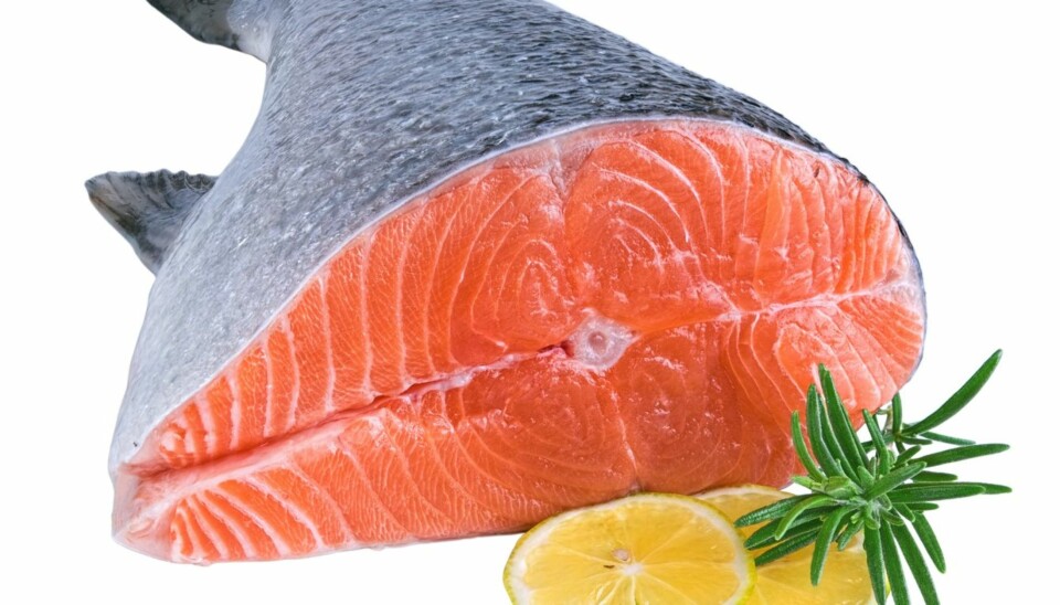 Fisk kan være infisert av listeria. De fleste av oss utsettes jevnlig for smitte og immunsystemet vårt er i stand til å håndtere slike bakterier.