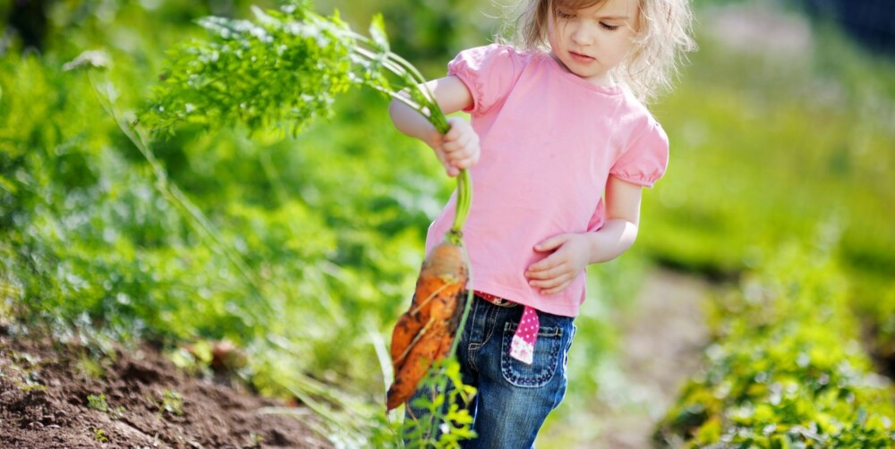GODE RÅVARER: Lær barna å bli mer fortrolige med å lage mat ut fra naturlige og gode råvarer.