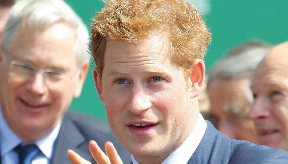 TERRORMÅL: Prins Harry var målet for en tidligere domfelt irsk mann, som har konvertert til islam.