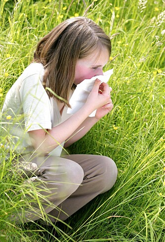 ØKER: De forskjellige allergiske sykdommene blir dessverre mer og mer vanlige. Det antas at mer enn 40 prosent av befolkningen opplever allergiske reaksjoner én eller flere ganger i løpet av livet.