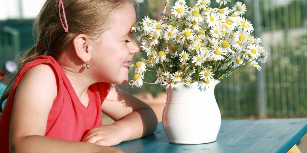 Ikke alle barn kan lukte på sommerblomstene uten å måtte kjenne på de velkjente pollenplagene med tett nese, kløende øyne og tårer som renner.