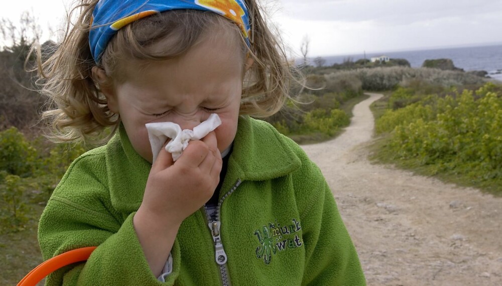 ATSJO: Pollensesongen er i gang, og plantenes frøspredning sørger for at nesa tetner til, øynene klør og tårene renner hos mange barn og voksne.